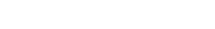 ausnfl2